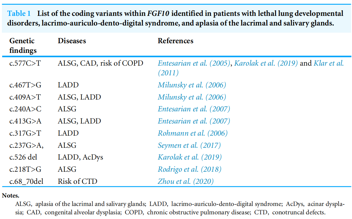 FGF10:肺&心脏损伤修复剂 FGF10:肺&心脏损伤修复剂