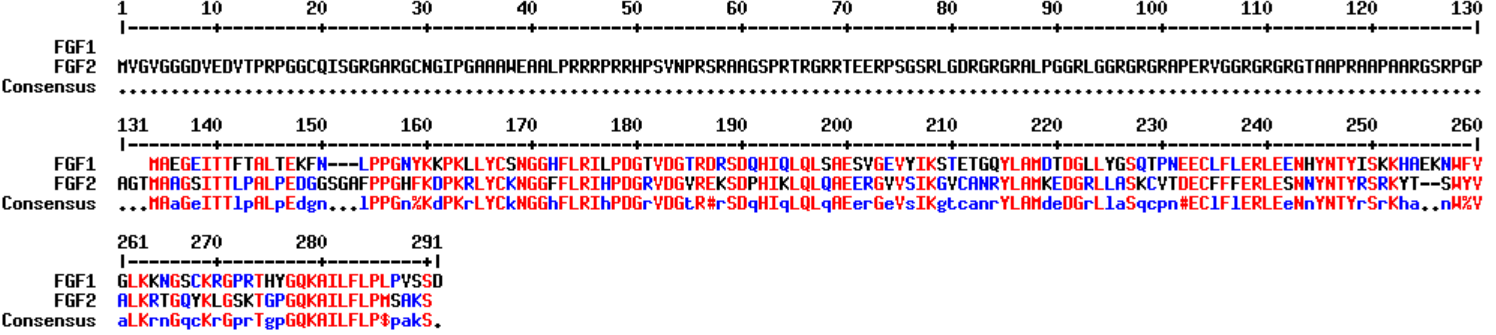 FGF2:纷繁复杂的调控因子 FGF2:纷繁复杂的调控因子