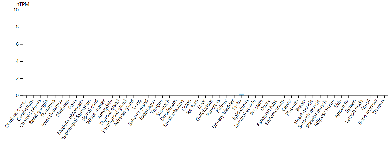 FGF4: a potential target for lowering glucose