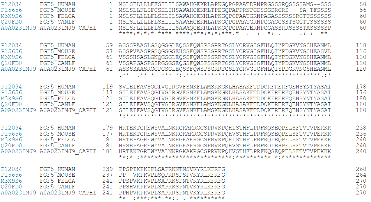FGF5:毛发生长关键调节剂 FGF5:毛发生长关键调节剂