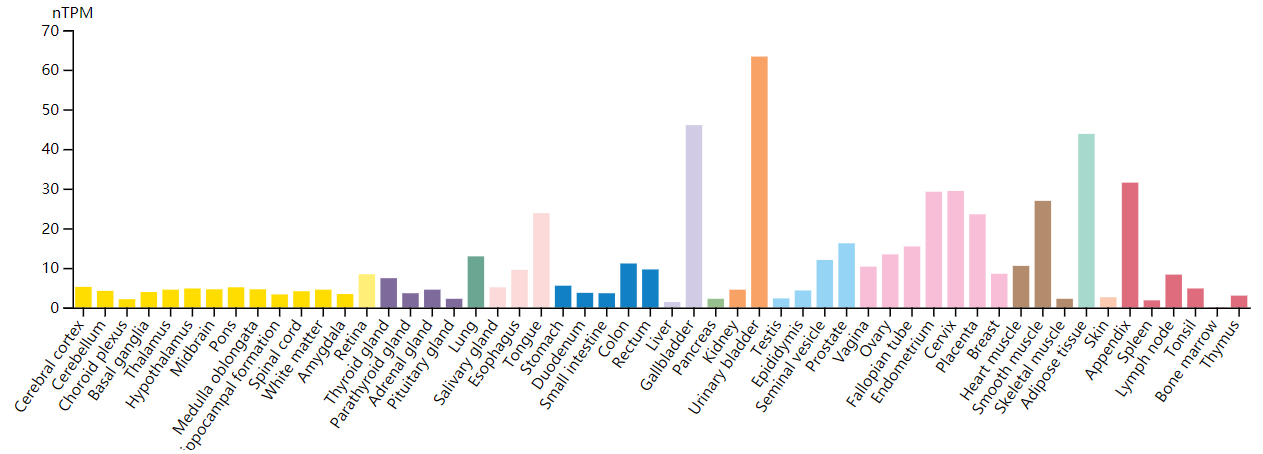 FGF7：药物耐受调控