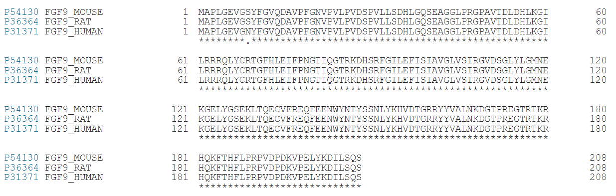 FGF9:性腺分化调节剂 FGF9:性腺分化调节剂