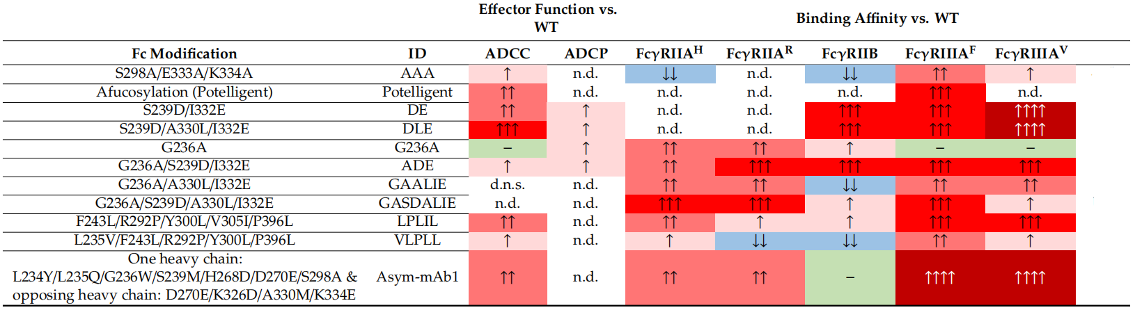 Fc engineering modification for regulating antibody function