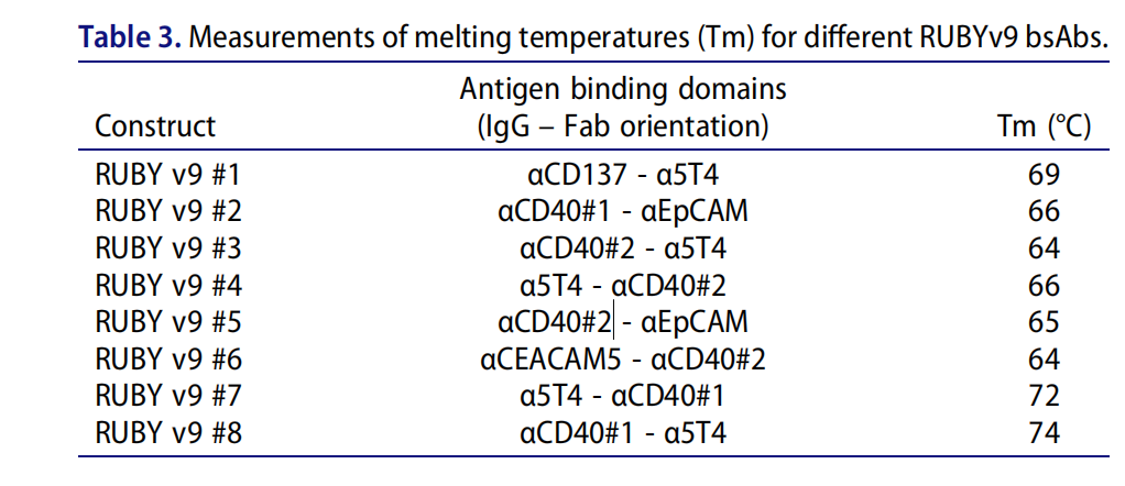 Functional and IGG-like stability pharmacology and exploitable properties of a quadrivalent bispecific antibody
