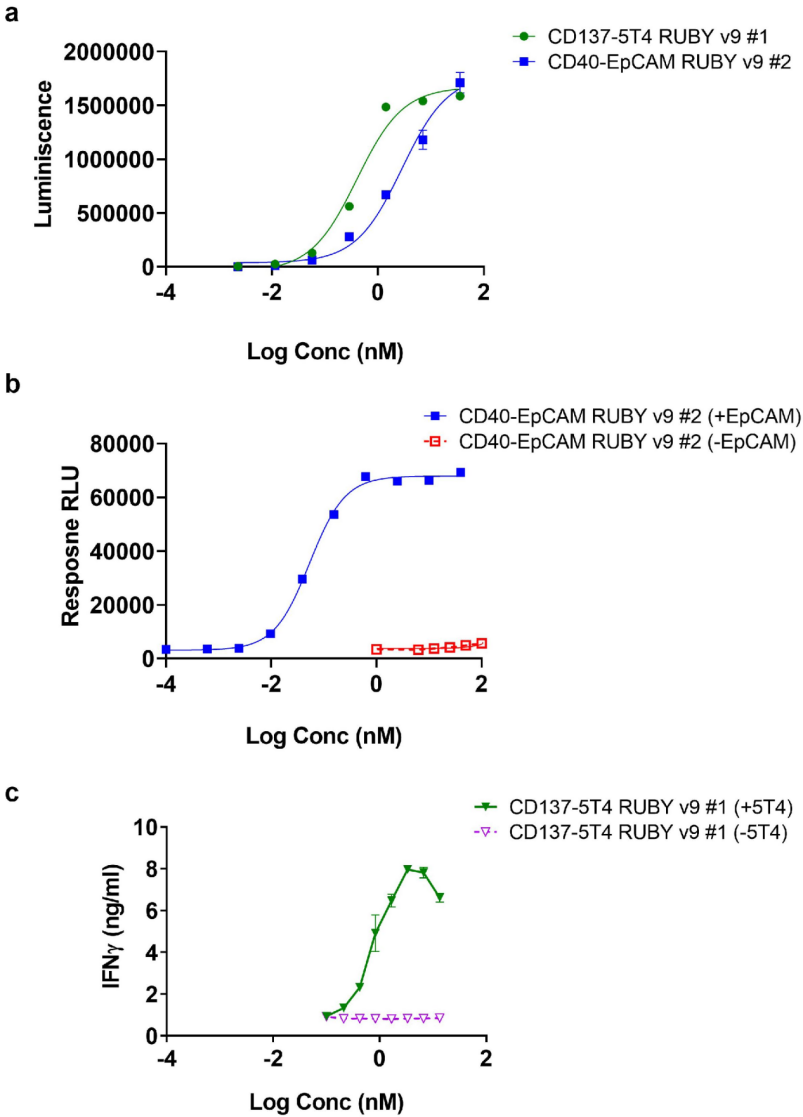 Functional and IGG-like stability pharmacology and exploitable properties of a quadrivalent bispecific antibody
