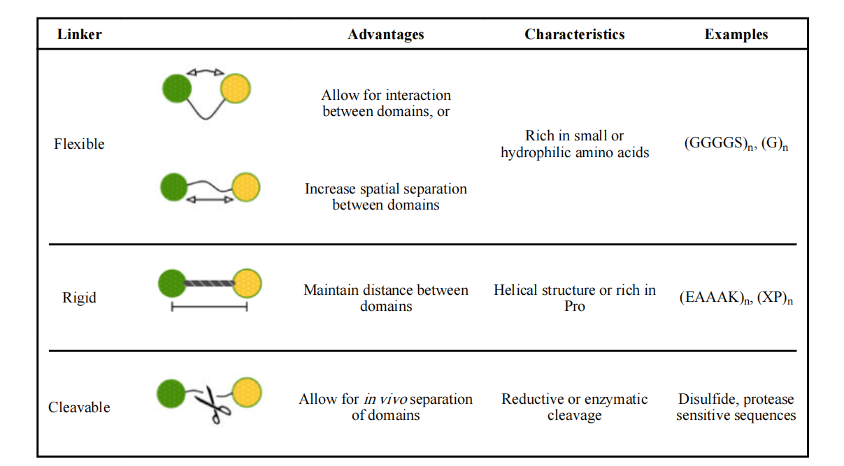 Fusion protein linkers: property, design and functionality