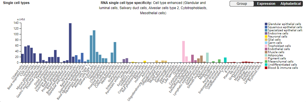 Hepatocyte growth factor receptor c-MET