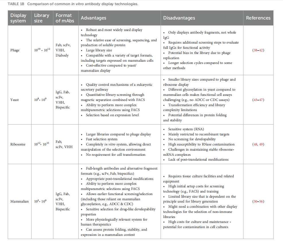 High-throughput strategies for monoclonal antibody screening: advances and challenges High-throughput strategies for monoclonal antibody screening: advances and challenges