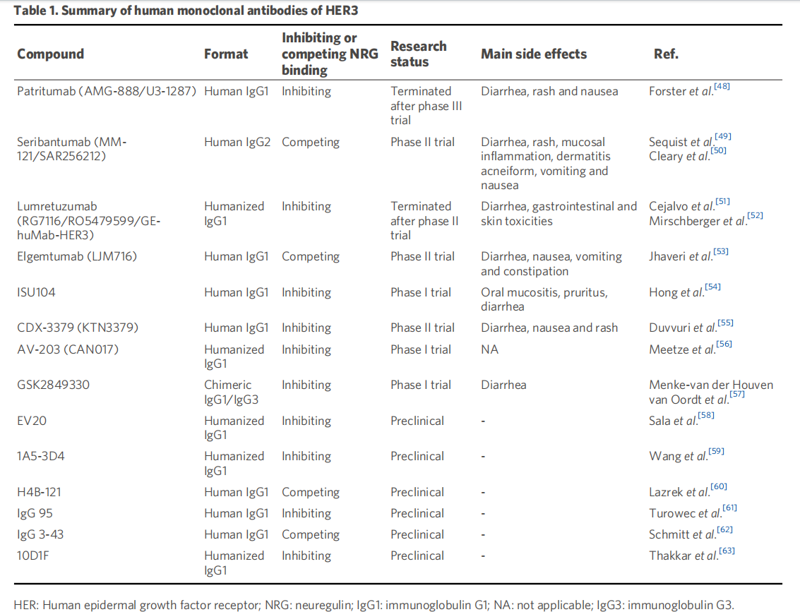 Human epidermal growth factor receptor HER3