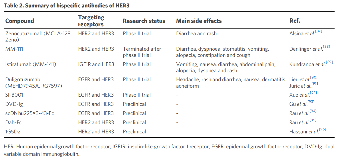 Human epidermal growth factor receptor HER3