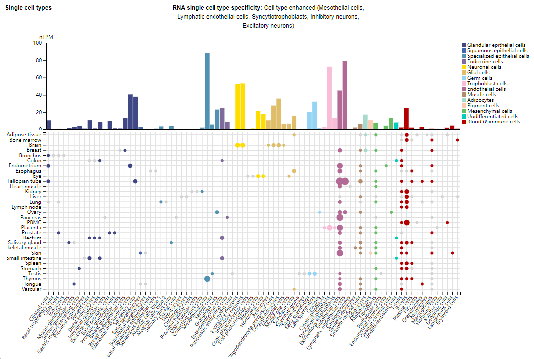 Immune checkpoint protein CD200 Immune checkpoint protein CD200
