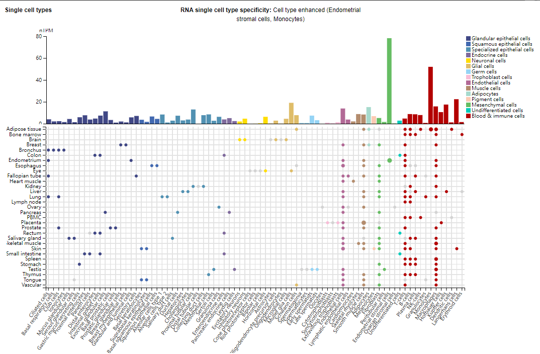 Immune stimulation of the cytokine IL-15