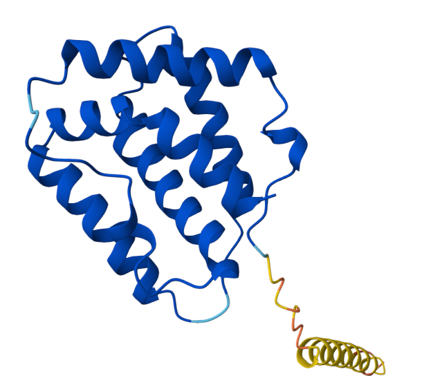 Immunoregulatory factor IL-22