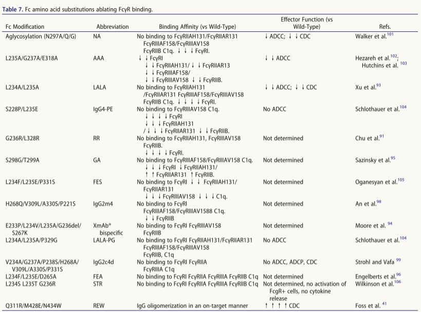 Impact of antibody Fc engineering on translational pharmacology and safety