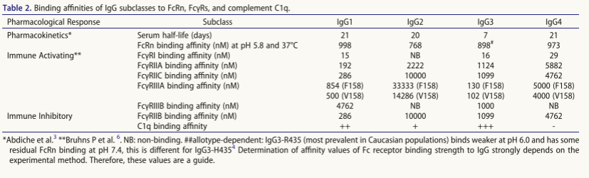 Impact of antibody Fc engineering on translational pharmacology and safety