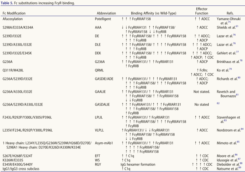 Impact of antibody Fc engineering on translational pharmacology and safety