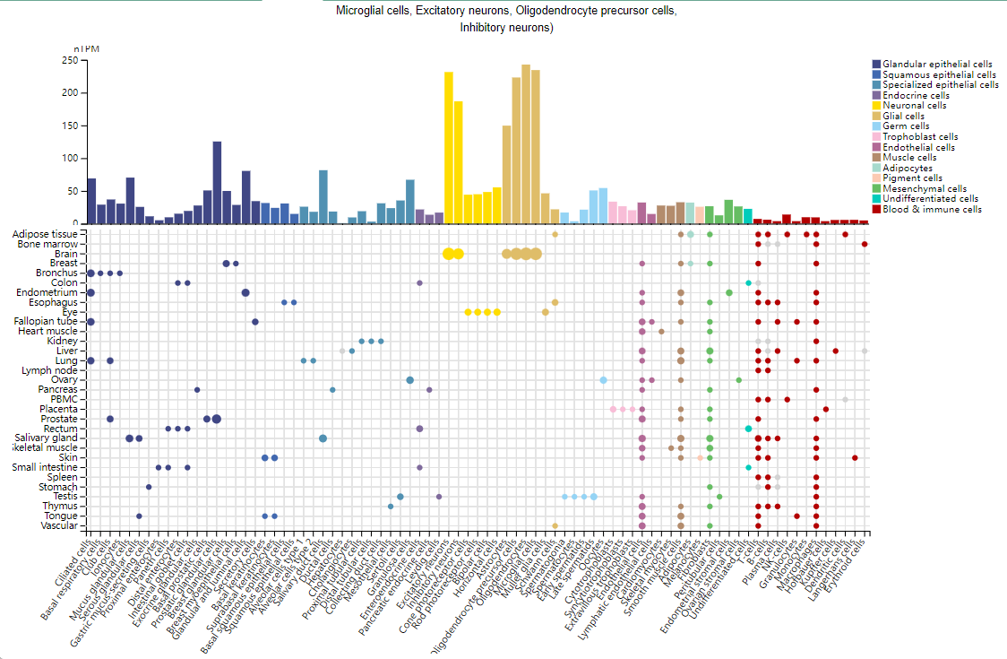 Insulin-like growth factor 1 receptor IGF1R