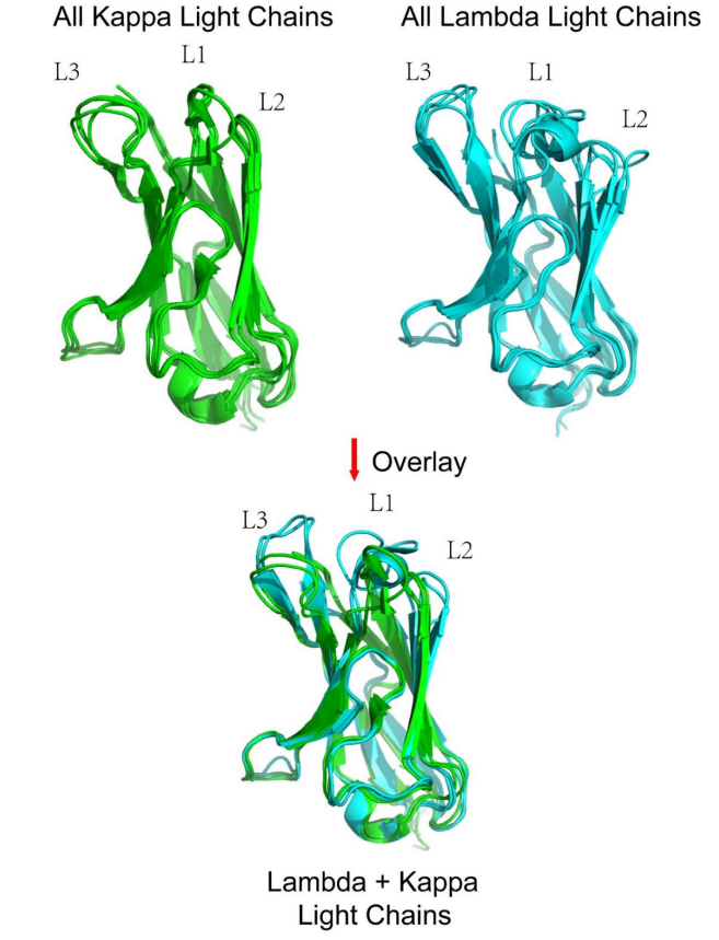 Key differences and limitations of antibody numbering schemes