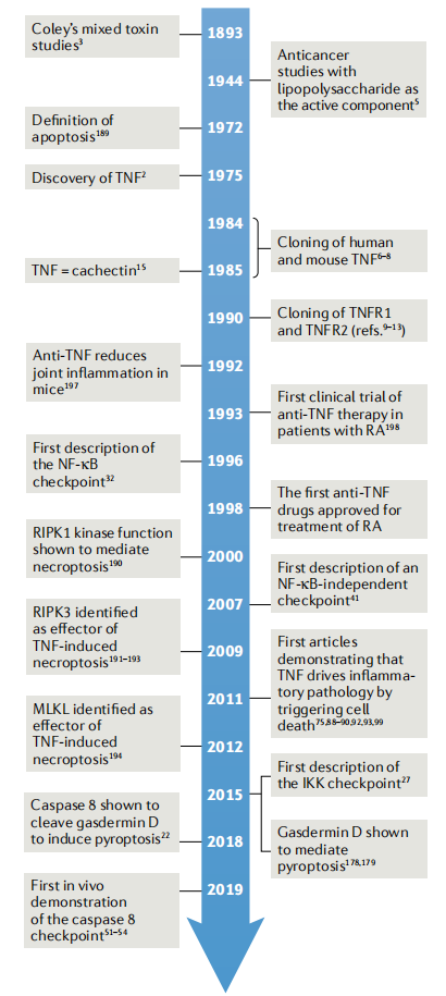 Key molecules on the surface of cytotoxic T-cells TNFa Key molecules on the surface of cytotoxic T-cells TNFa