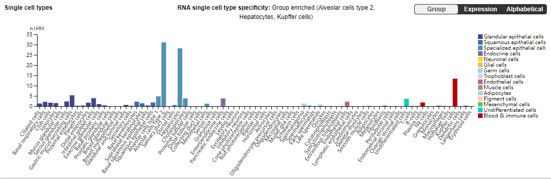 Lipid control protein PCSK9