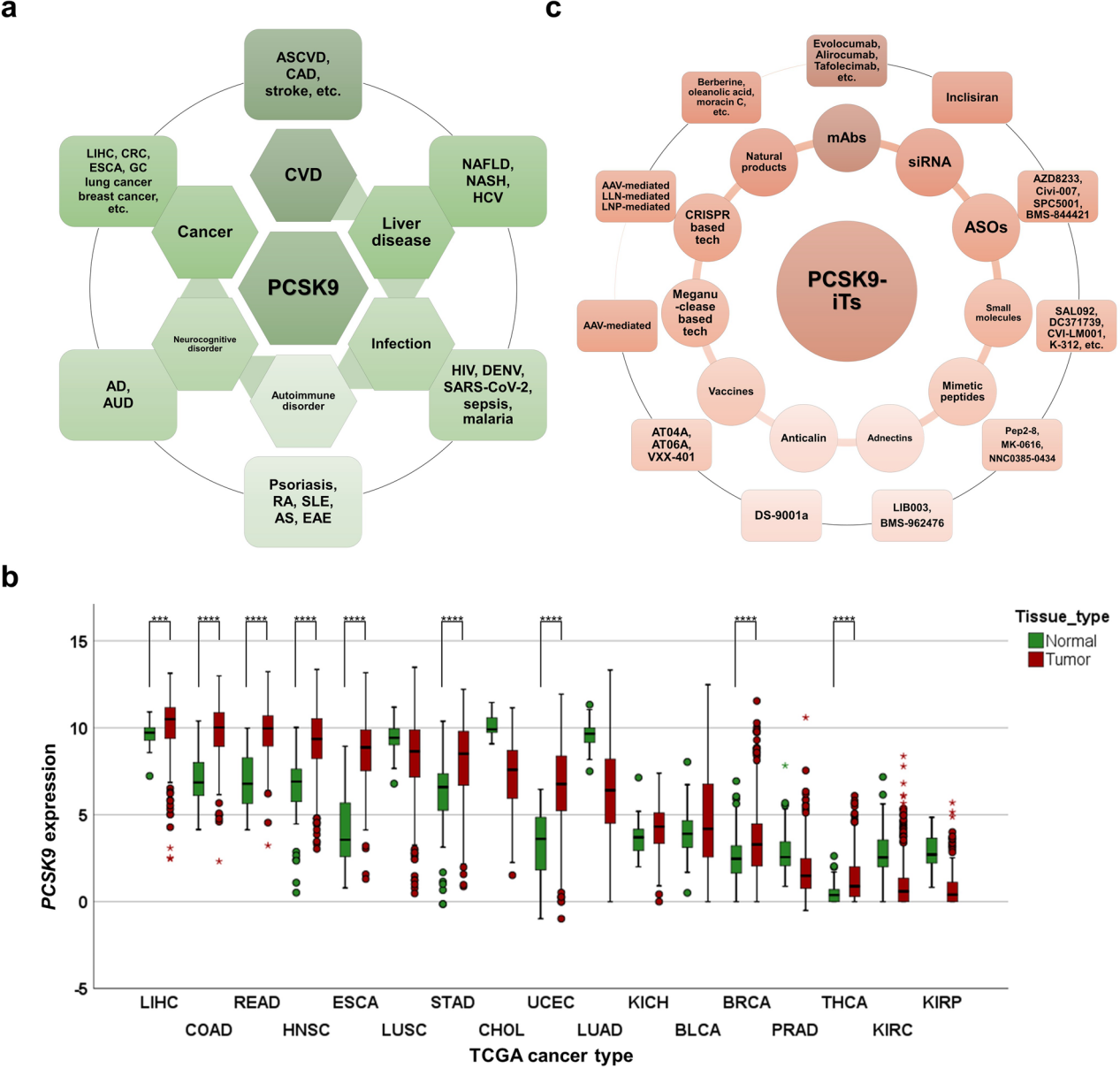 Lipid control protein PCSK9
