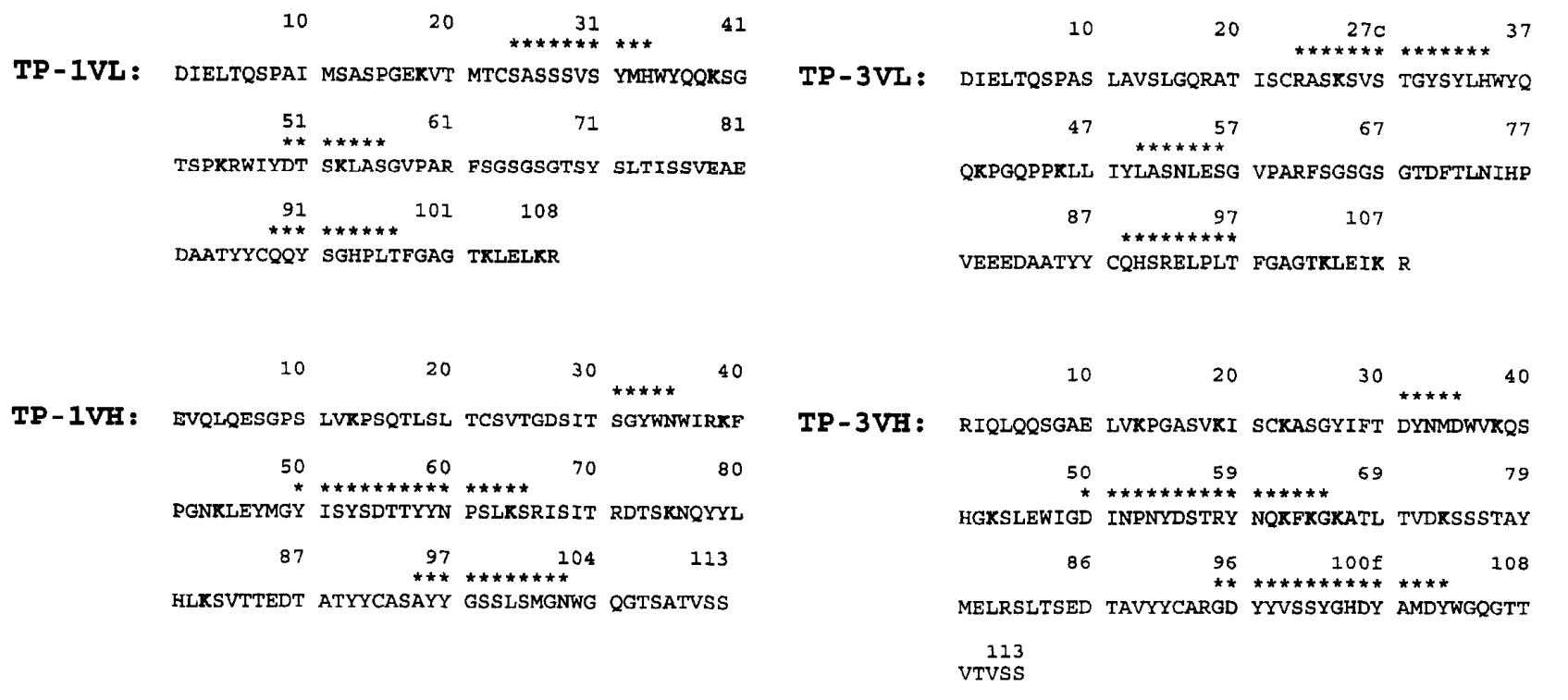 Literature share antibody sequences defined a new target for osteosarcoma CAR-T therapy Literature share antibody sequences defined a new target for osteosarcoma CAR-T therapy