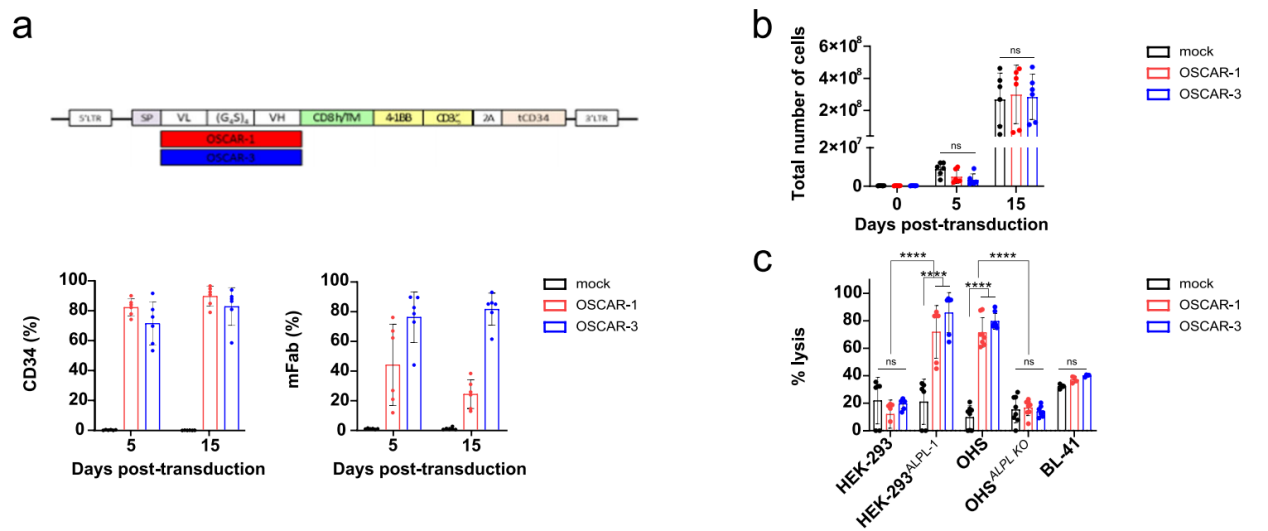Literature share antibody sequences defined a new target for osteosarcoma CAR-T therapy Literature share antibody sequences defined a new target for osteosarcoma CAR-T therapy