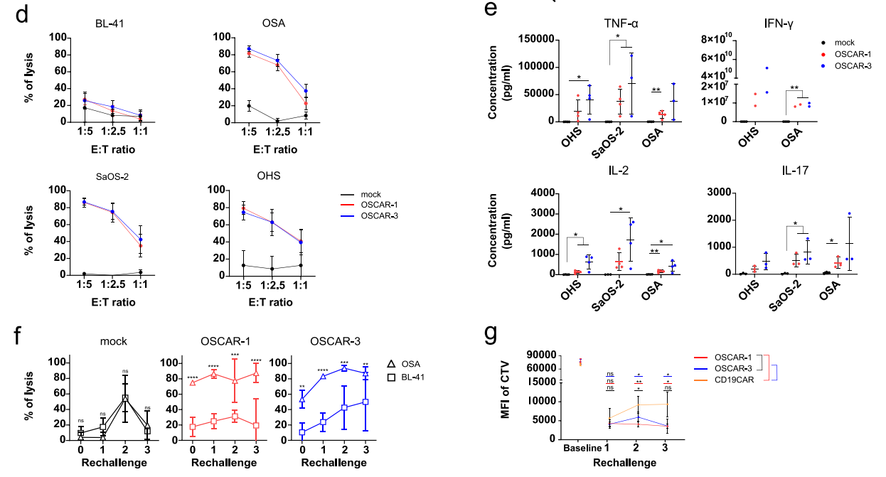 Literature share antibody sequences defined a new target for osteosarcoma CAR-T therapy Literature share antibody sequences defined a new target for osteosarcoma CAR-T therapy