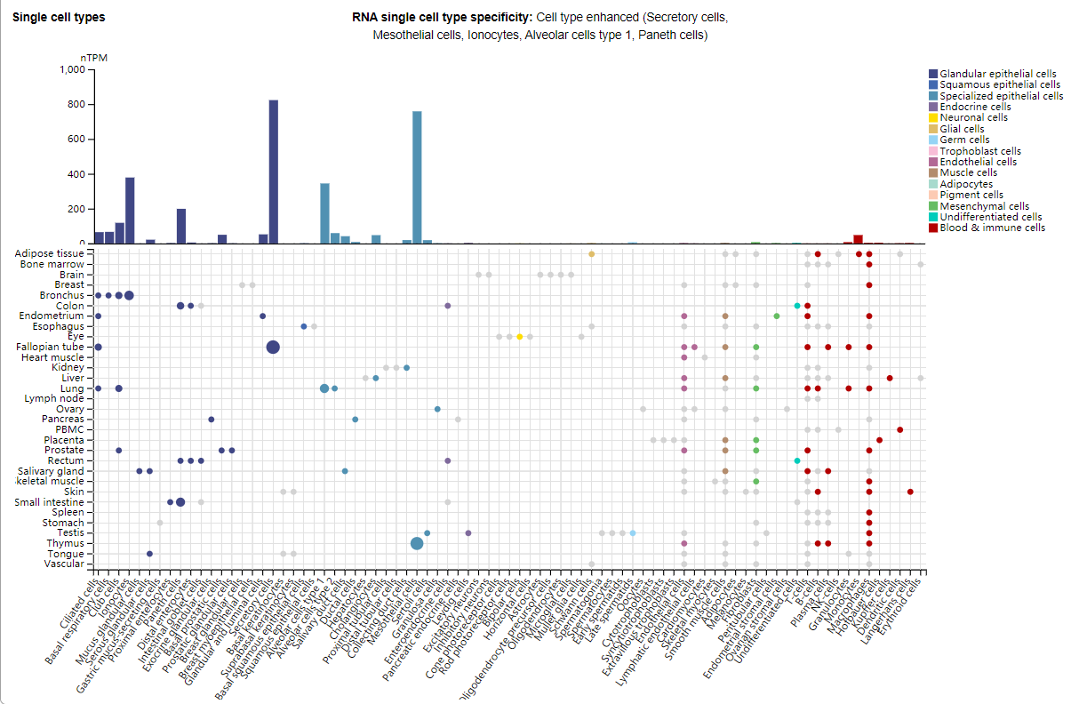 MSLN is the target of solid tumor treatment MSLN is the target of solid tumor treatment