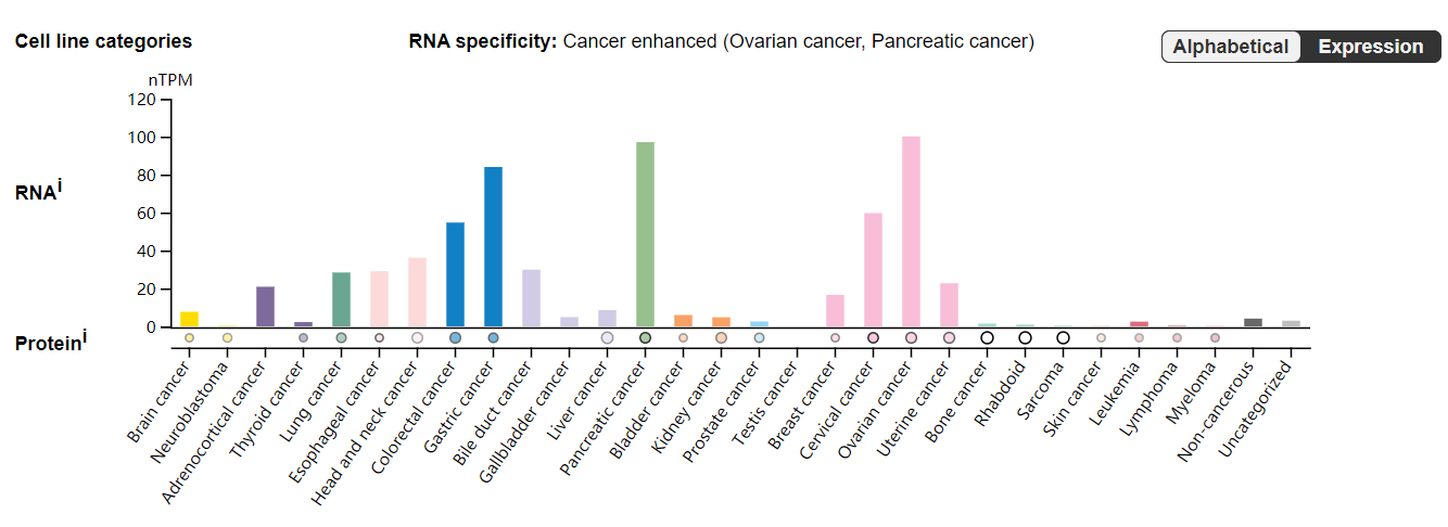 MSLN is the target of solid tumor treatment MSLN is the target of solid tumor treatment
