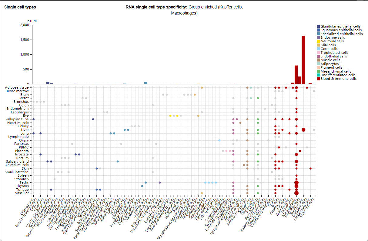 Macrophage activation marker CD163 Macrophage activation marker CD163