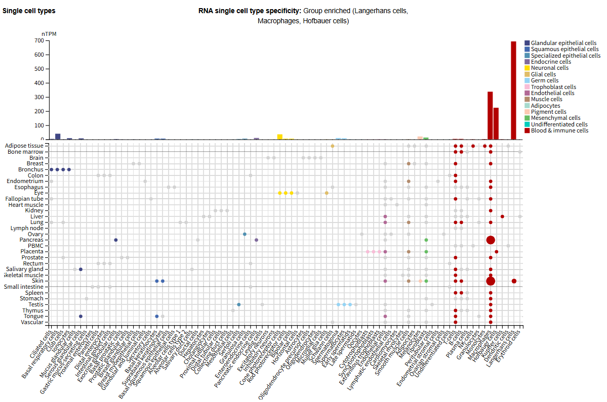 Matrix metalloproteinase MMP9 Matrix metalloproteinase MMP9