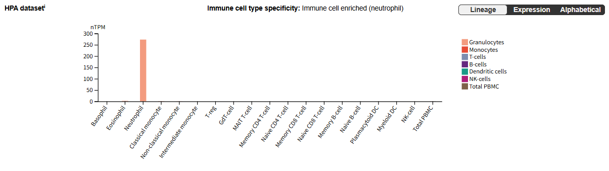 Matrix metalloproteinase MMP9 Matrix metalloproteinase MMP9