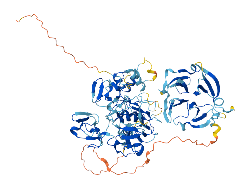 Matrix metalloproteinase MMP9 Matrix metalloproteinase MMP9