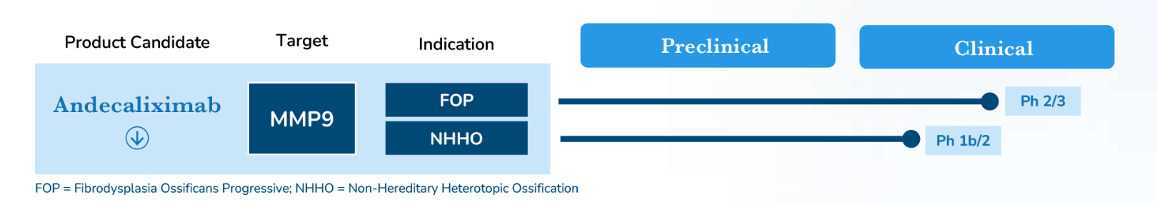 Matrix metalloproteinase MMP9 Matrix metalloproteinase MMP9