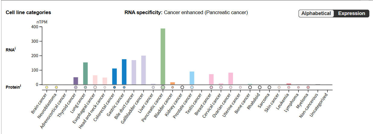 Multifunctional cell adhesion and signaling molecule CEACAM6