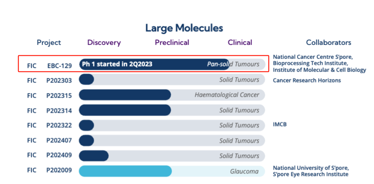 Multifunctional cell adhesion and signaling molecule CEACAM6