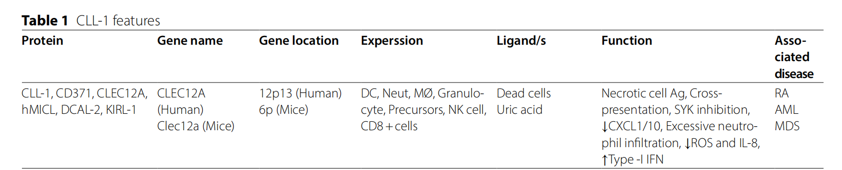 Myeloid inhibitory C-type lectin receptor CLEC12A Myeloid inhibitory C-type lectin receptor CLEC12A