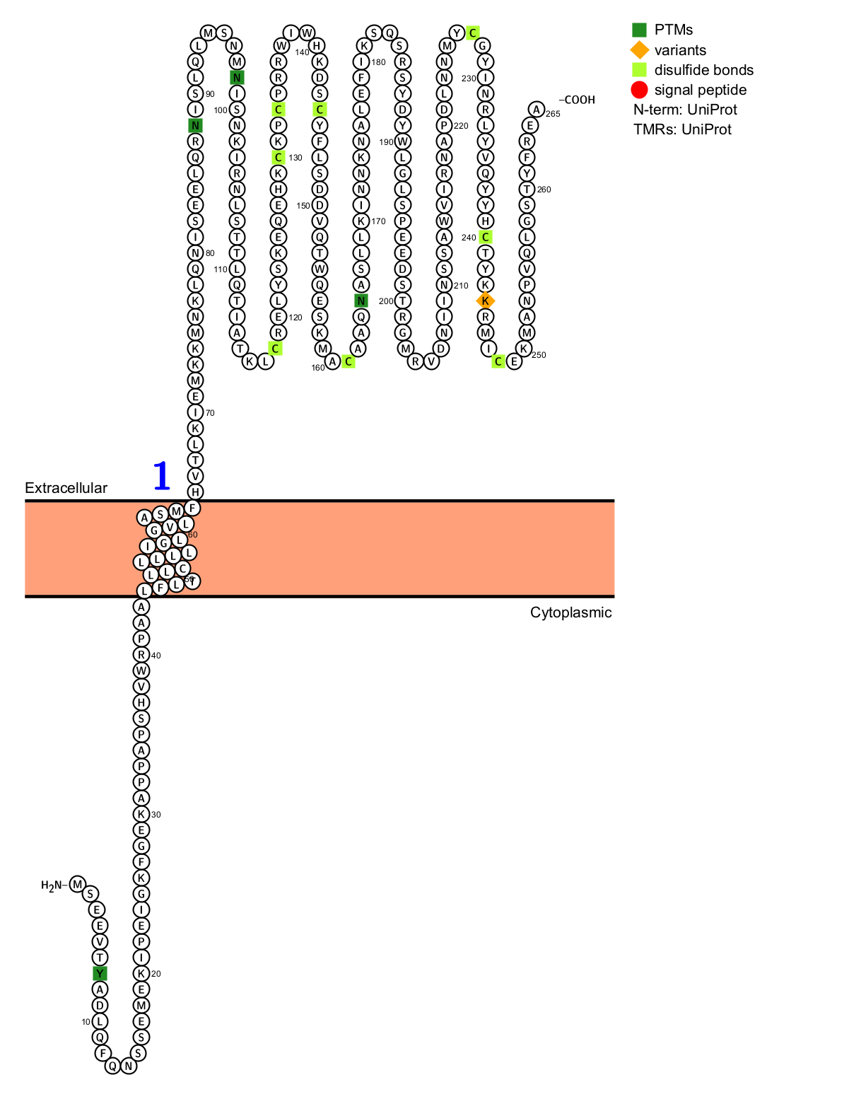 Myeloid inhibitory C-type lectin receptor CLEC12A Myeloid inhibitory C-type lectin receptor CLEC12A