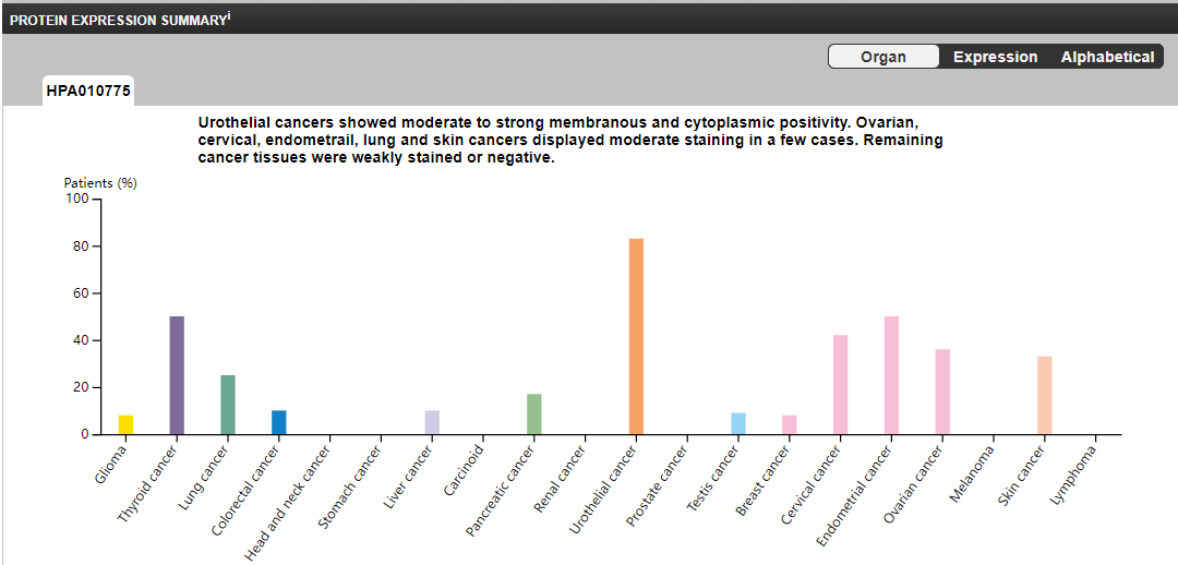 Nectin-4 is a novel target of the ADC circuit