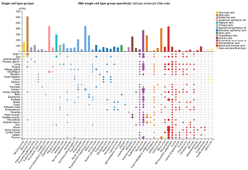 Neurotensin receptor SORT1