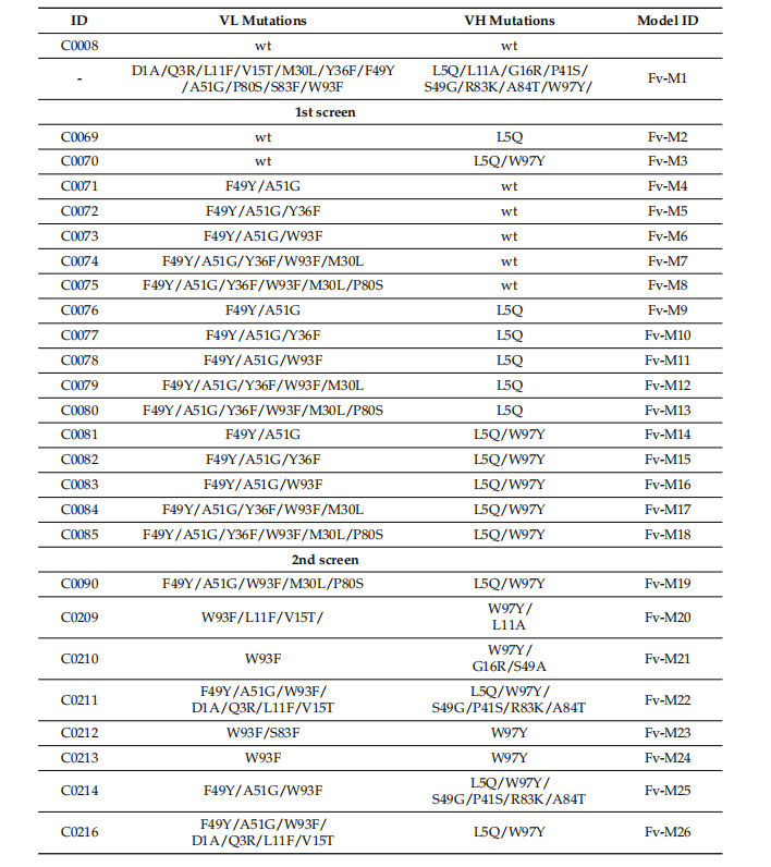 Optimized development of therapeutic anti-oxMIF antibodies based on computer and in vitro tools