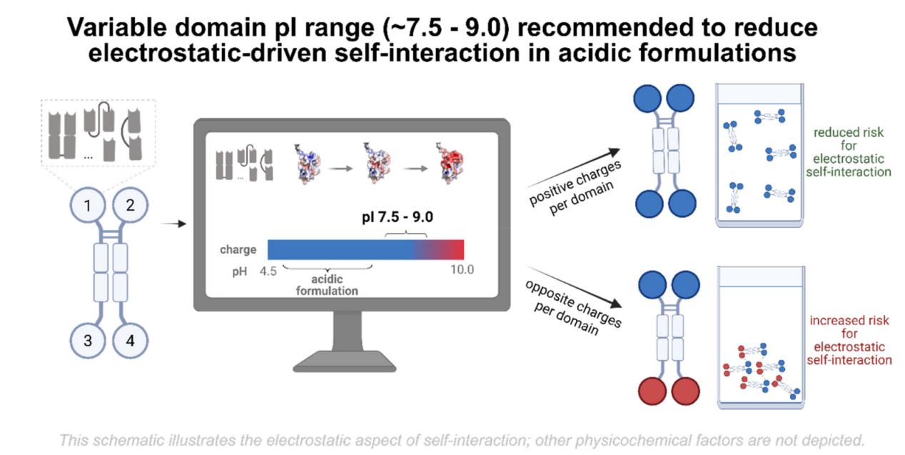 Optimizing the colloidal stability and viscosity of multi-specific antibodies Optimizing the colloidal stability and viscosity of multi-specific antibodies
