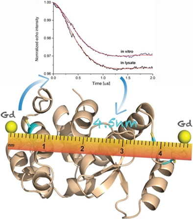 Overview of methods used in the study of protein protein interactions