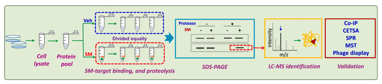 Overview of the research methods of protein small molecule interactions
