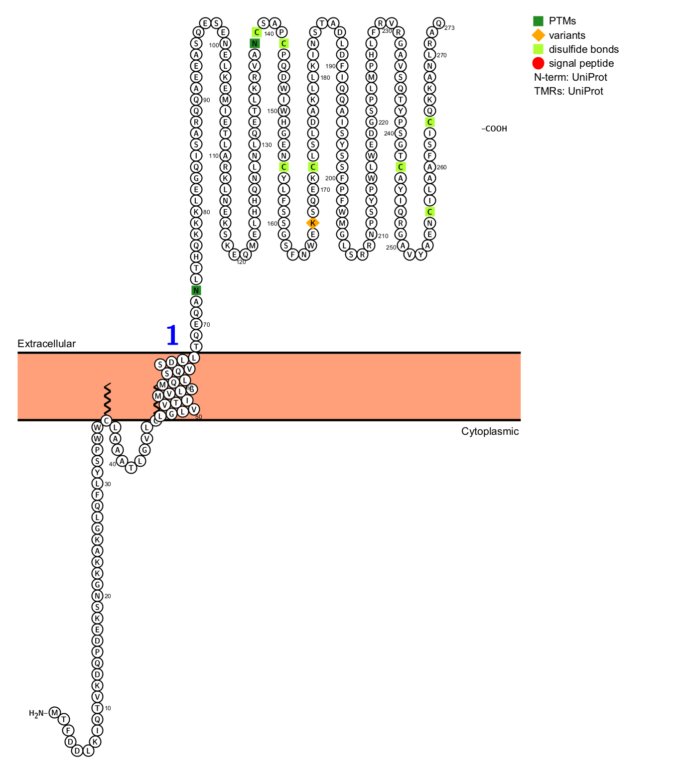 Oxidized low density lipoprotein receptor OLR1 Oxidized low density lipoprotein receptor OLR1