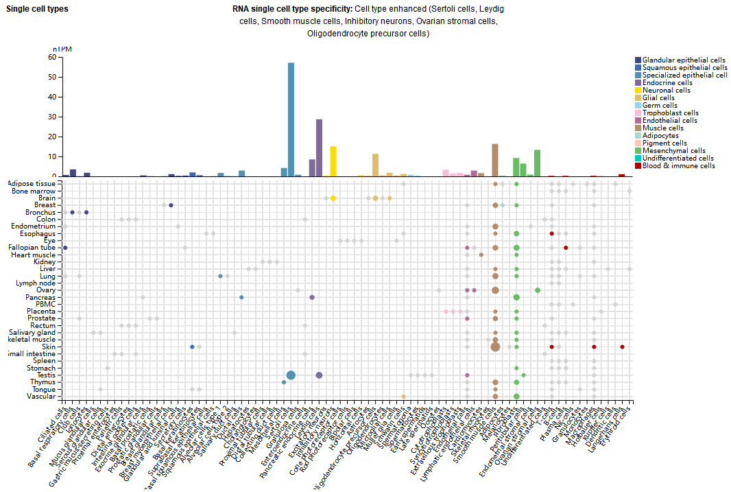 Pain treatment target NGF