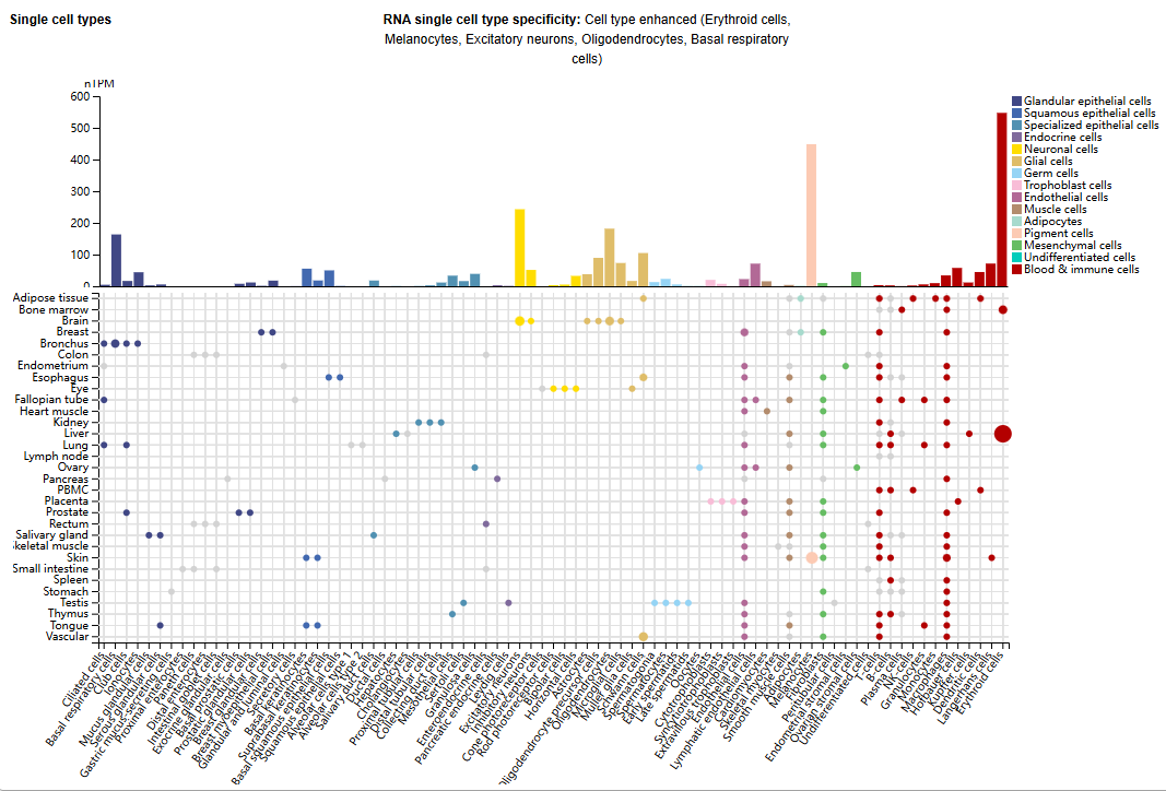 Parkinson's disease treatment target SNCA