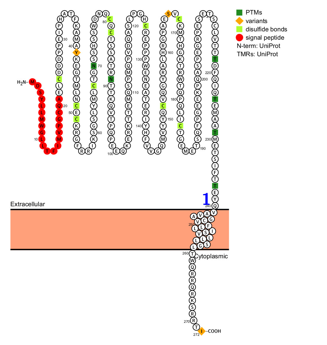 Potential tumor therapeutic target CD25 Potential tumor therapeutic target CD25