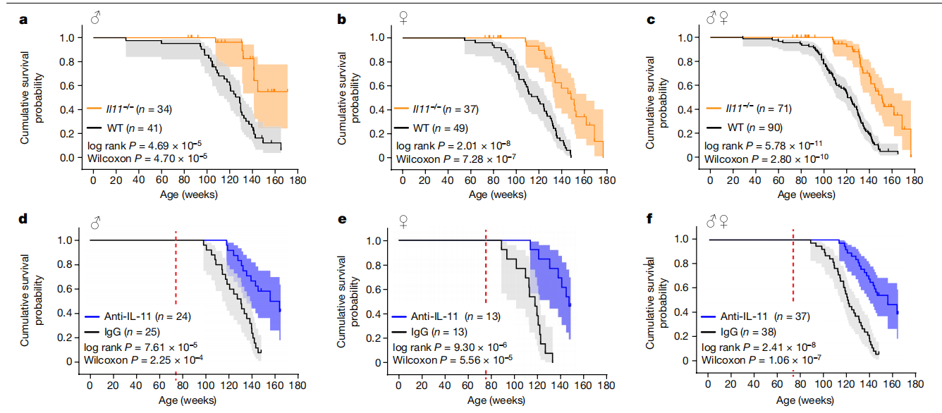 Proinflammatory cytokine IL-11